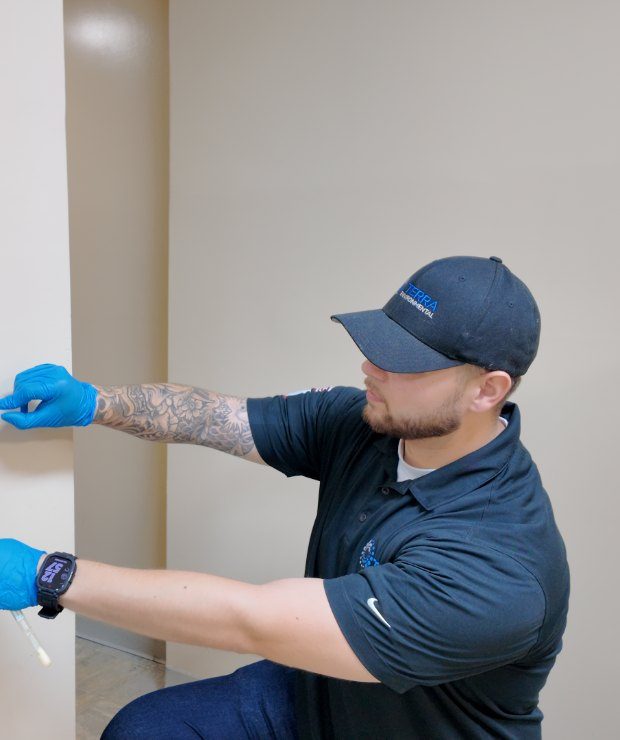 TERRA technician taking a moisture meter reading on a wall